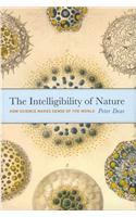 Intelligibility of Nature