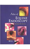 Atlas of Equine Endoscopy