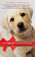 Puppy That Came for Christmas