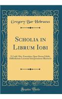 Scholia in Librum Iobi: E Codd. Mss. Emendata, Quae Denuo Edidit, Difficiliorum Locorum Interpretatione Illustravit (Classic Reprint)