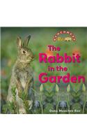 Rabbit in the Garden