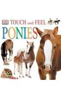 Ponies: (Touch and Feel)