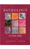 Pathology