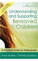 Understanding and Supporting Bereaved Children: A Practical Guide for Professionals