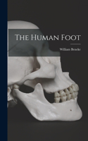 Human Foot