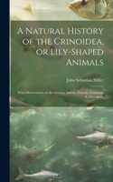 A Natural History of the Crinoidea, or Lily-shaped Animals