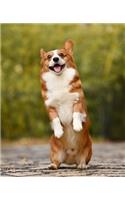 CORGI Composition Notebook
