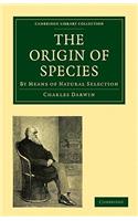 Origin of Species