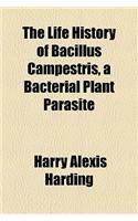 The Life History of Bacillus Campestris, a Bacterial Plant Parasite
