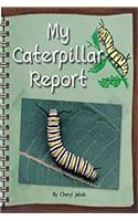 Leveled Reader Bookroom Package Red: My Caterpillar Report(Rigby Flying Colors)