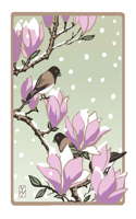 Winter Magnolia (Unboxed): Unboxed Set of 6 Cards