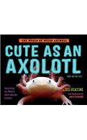 Cute as an Axolotl