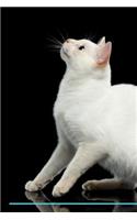 Mekong Bobtail Affirmations Workbook Mekong Bobtail Presents: Positive and Loving Affirmations Workbook. Includes: Mentoring Questions, Guidance, Supporting You.