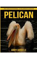 Pelican! An Educational Children's Book about Pelican with Fun Facts & Photos