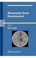Mammalian Brain Development
