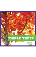 Maple Trees