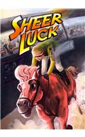 Sheer Luck