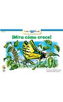 Mira Como Crece! = See How It Grows
