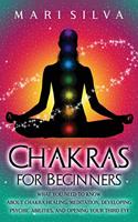 Chakras for Beginners