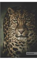Leopard Notebook