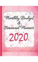 Monthly Budget & Financial Planner 2020