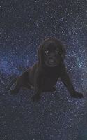 Journal: A Black Lab Dog Puppy Galaxy Space Stars Notebook For Writing And Notes: Great Gift Or Present For Labrador Retriever Pet Owners