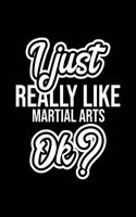 I Just Really Like Martial Arts Ok?