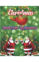 Christmas Adult Color By Numbers