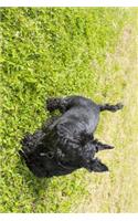 Black Scottish Terrier Walking on the Grass journal: Take Notes, Write Down Memories in this 150 Page Lined Journal