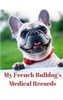 My French Bulldog's Medical Records