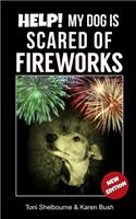 Help! My Dog is Scared of Fireworks