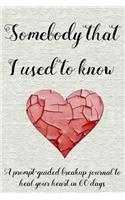 Somebody That I Used to Know