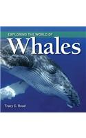 Exploring the World of Whales