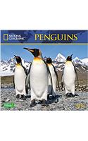 National Geographic Penguins 2018 Wall Calendar