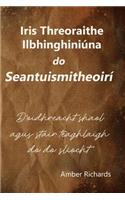 Iris Threoraithe Ilbhinghiniúna do Seantuismitheoirí