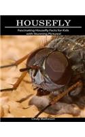 Housefly: Fascinating Housefly Facts for Kids with Stunning Pictures!