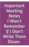 Important Meeting Notes