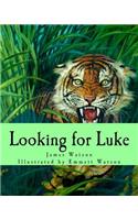Looking for Luke