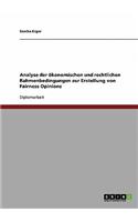 Fairness Opinions. Analyse Der Okonomischen Und Rechtlichen Rahmenbedingungen