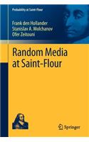 Random Media at Saint-Flour