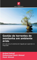 Gestão de torrentes de montanha em ambiente árido