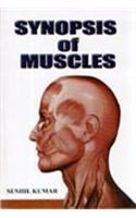 Synopsis of Muscles