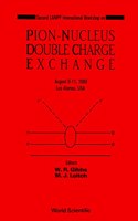 Pion-Nucleus Double Charge Exchange - 2nd Lampf Workshop