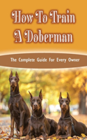 How To Train A Doberman