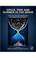 Space, Time and Number in the Brain