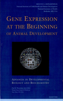 Gene Expression at the Beginning of Animal Development