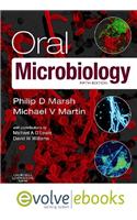 Oral Microbiology