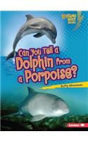 Can You Tell a Dolphin from a Porpoise?: (Lightning Bolt Books — Animal Look-Alikes)
