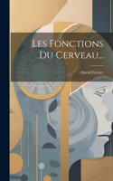 Les Fonctions Du Cerveau...