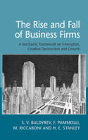 Rise and Fall of Business Firms